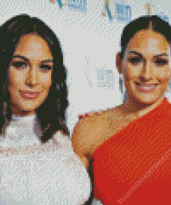 The Beautiful Bella Twins Diamond Painting