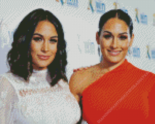 The Beautiful Bella Twins Diamond Painting