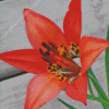 Western Red Lily Diamond Painting