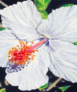 White Hibiscus Flower Art Diamond Painting