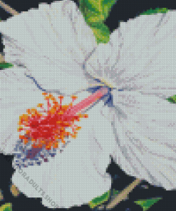 White Hibiscus Flower Art Diamond Painting