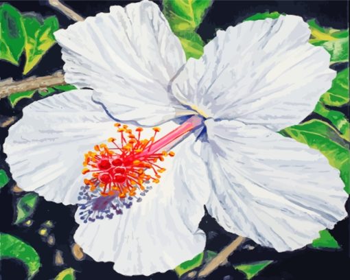 White Hibiscus Flower Art Diamond Painting