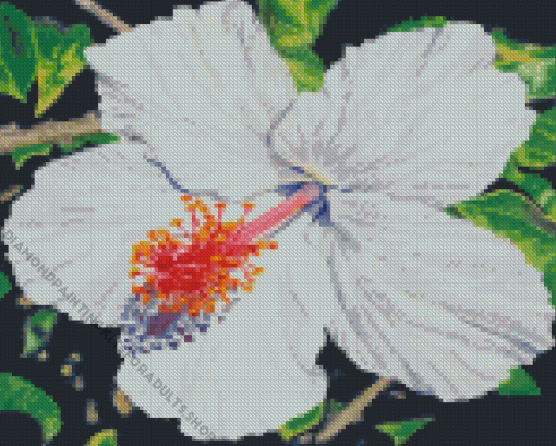 White Hibiscus Flower Art Diamond Painting