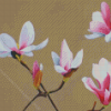 White Pink Magnolia Diamond Painting