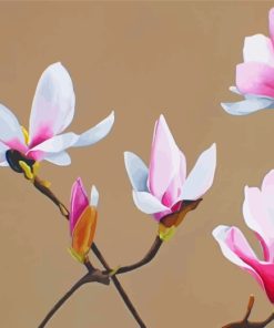 White Pink Magnolia Diamond Painting