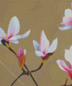 White Pink Magnolia Diamond Painting