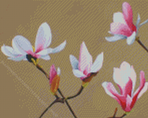 White Pink Magnolia Diamond Painting