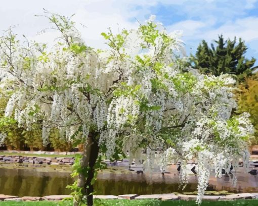 White Wisteria Flowering Tree Diamond Painting