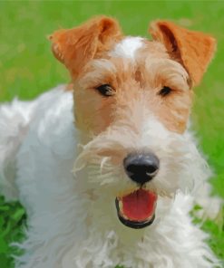 Wire Fox Terrier Diamond Painting