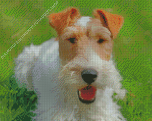 Wire Fox Terrier Diamond Painting