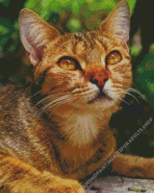 Adorable Abyssinian Cat Diamond Painting