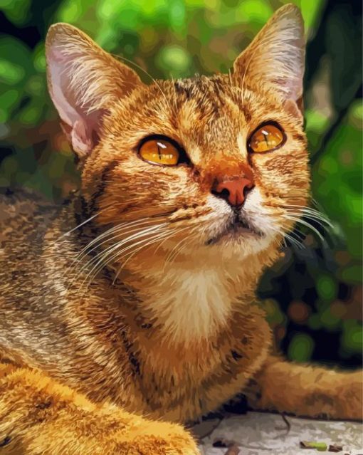 Adorable Abyssinian Cat Diamond Painting