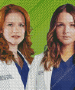 Aesthetic Grey Anatomy Diamond Painting