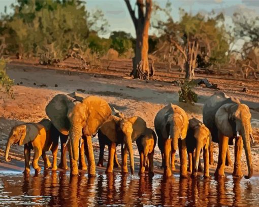 African Elephants In Botswana Diamond Painting