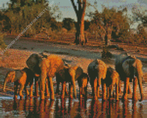 African Elephants In Botswana Diamond Painting