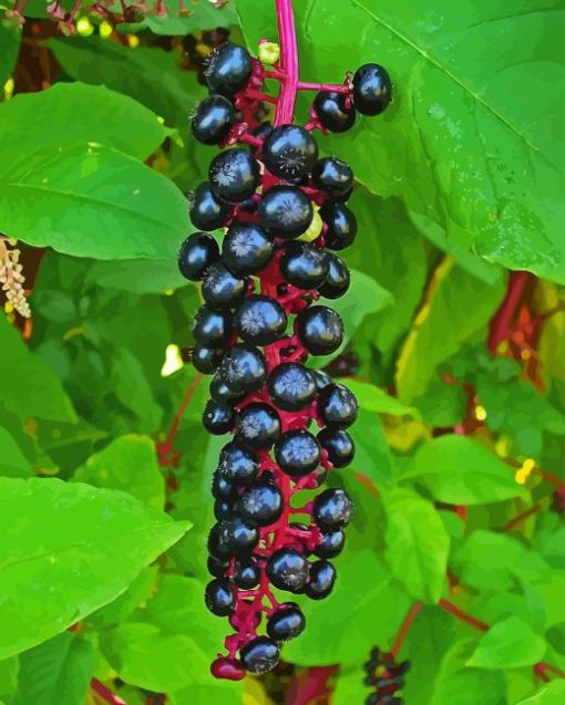 American Pokeweed Diamond Painting