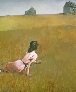 Andrew Wyeth Girl in Field Diamond Painting