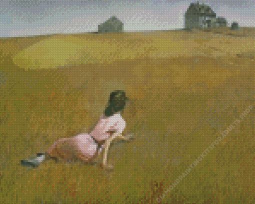 Andrew Wyeth Girl in Field Diamond Painting