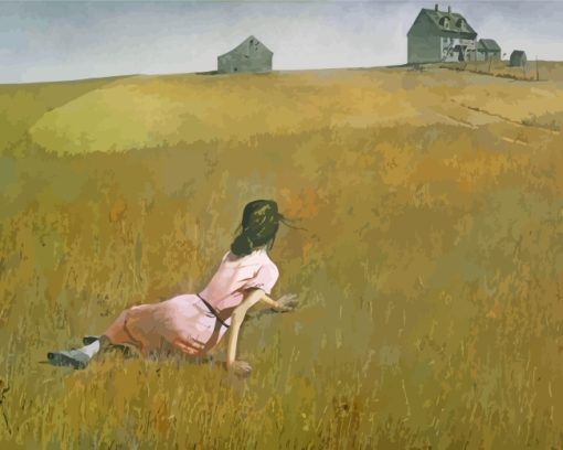 Andrew Wyeth Girl in Field Diamond Painting