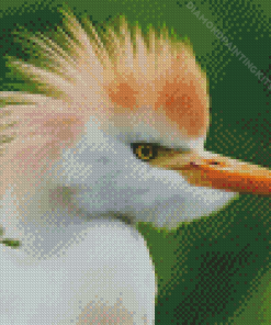 Angry Funny Bird Diamond Painting