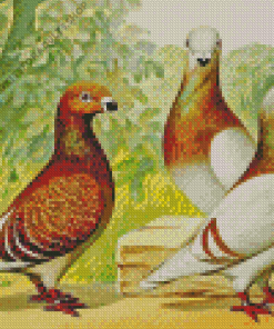 Antwerp Smerle Pigeon Birds Diamond Painting