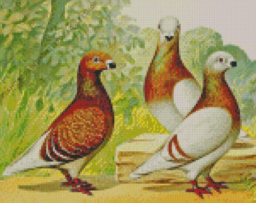 Antwerp Smerle Pigeon Birds Diamond Painting