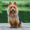 Australian Silky Terrier Diamond Painting