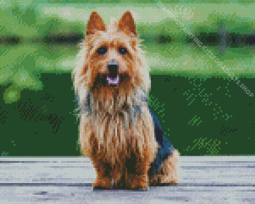 Australian Silky Terrier Diamond Painting