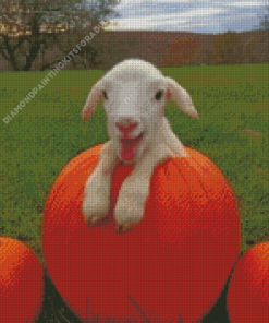 Baby Goats On Pumpkins Diamond Painting