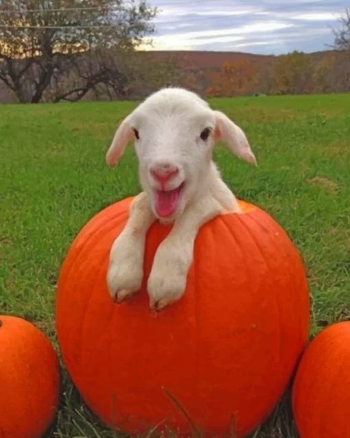 Baby Goats On Pumpkins Diamond Painting