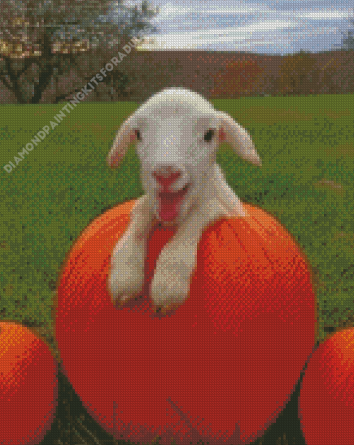 Baby Goats On Pumpkins Diamond Painting