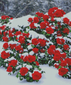 Beautiful Red Roses In Snow Diamond Painting