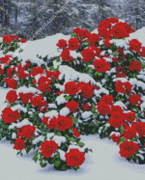 Beautiful Red Roses In Snow Diamond Painting