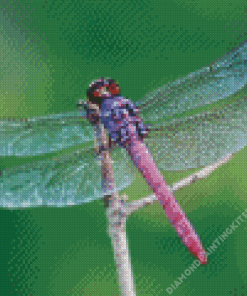 Beautiful Purple Dragonfly Diamond Painting