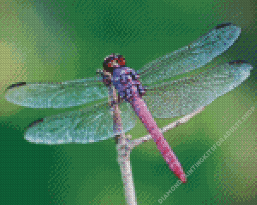 Beautiful Purple Dragonfly Diamond Painting