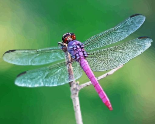 Beautiful Purple Dragonfly Diamond Painting