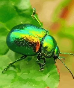 Beetle Bug on Leaf Diamond Painting