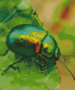 Beetle Bug on Leaf Diamond Painting