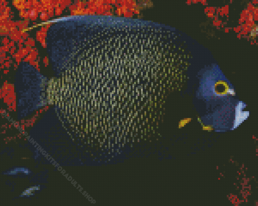 Black Angelfish With Orange Flowers Diamond Painting