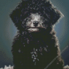 Black Miniature Poodle Diamond Painting