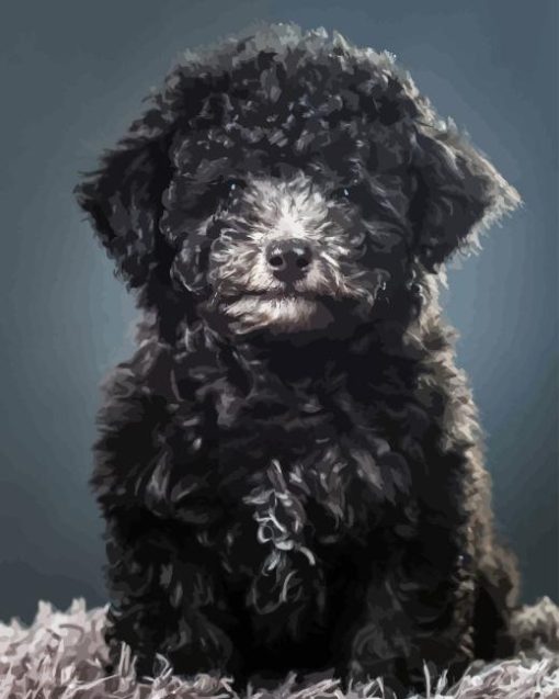 Black Miniature Poodle Diamond Painting