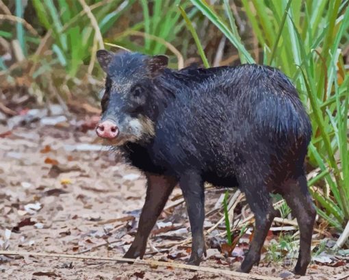 Black Peccary Diamond Painting