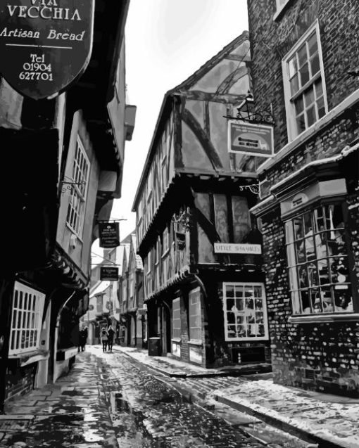 Black And White The Shambles York Diamond Painting