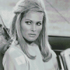 Black And White Ursula Andress Actress Diamond Painting