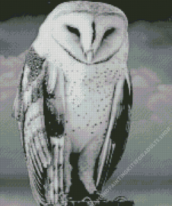 Black And White Owl Bird Diamond Painting