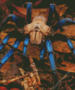 Blue Tarantula Diamond Painting