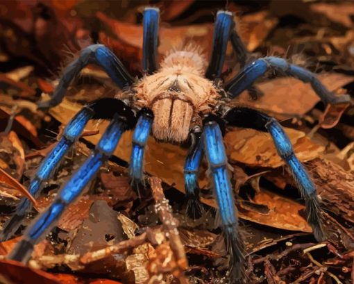 Blue Tarantula Diamond Painting