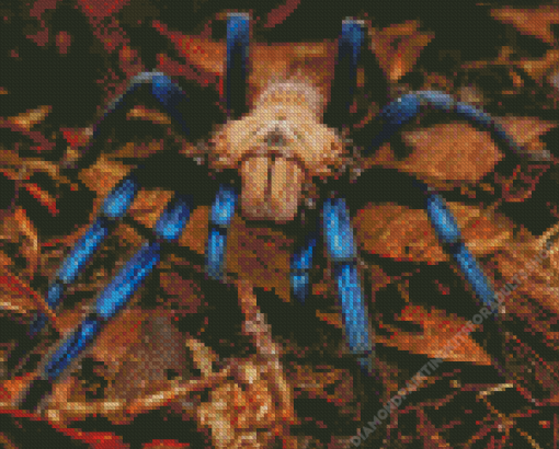 Blue Tarantula Diamond Painting