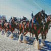 Budweiser Clydesdales Diamond Painting