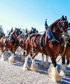 Budweiser Clydesdales Diamond Painting